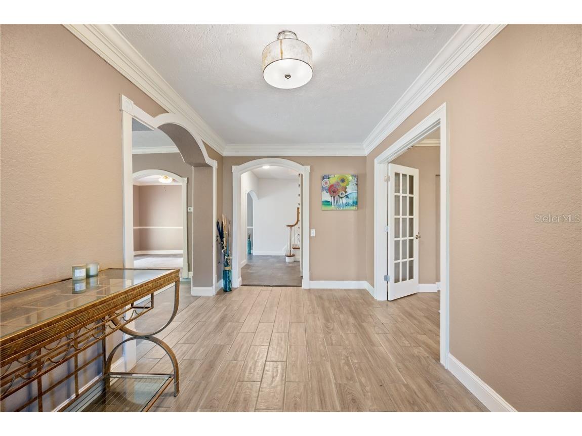 1109 Belcher Road Palm Harbor FL 34683 T3551452 image15