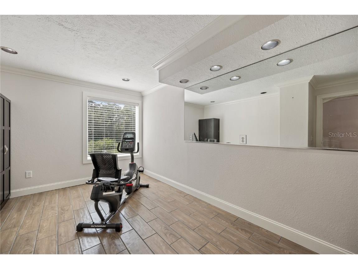 1109 Belcher Road Palm Harbor FL 34683 T3551452 image18