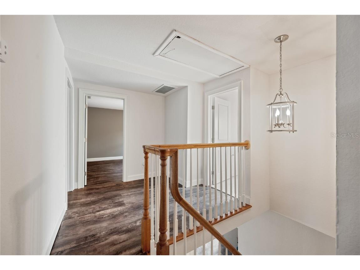 1109 Belcher Road Palm Harbor FL 34683 T3551452 image42