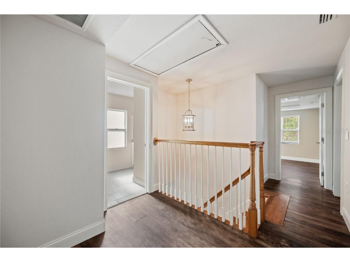 1109 Belcher Road Palm Harbor FL 34683 T3551452 image43