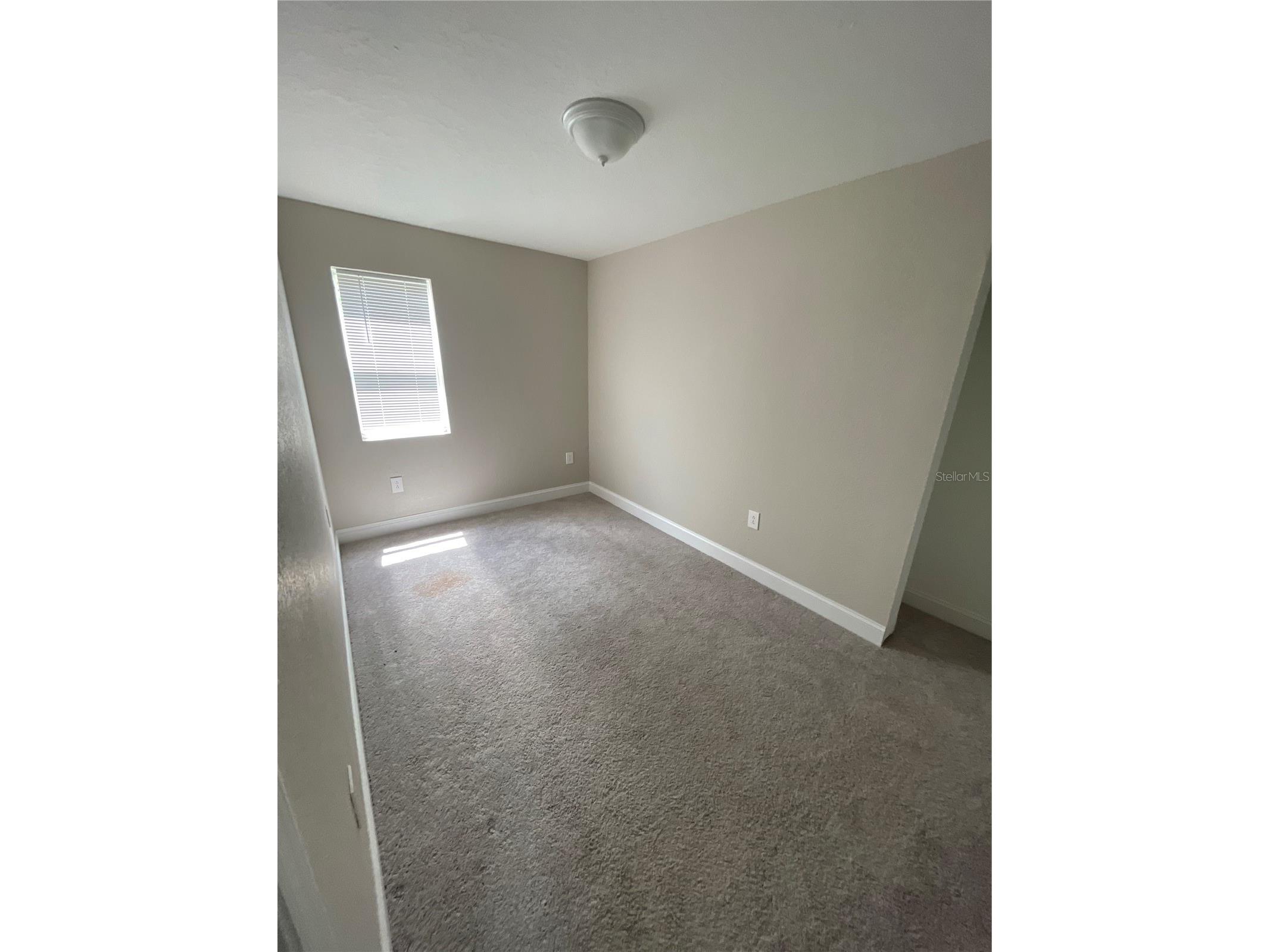 1109 Blanche B Littlejohn Trail Clearwater FL 33755 TB8498496 image11