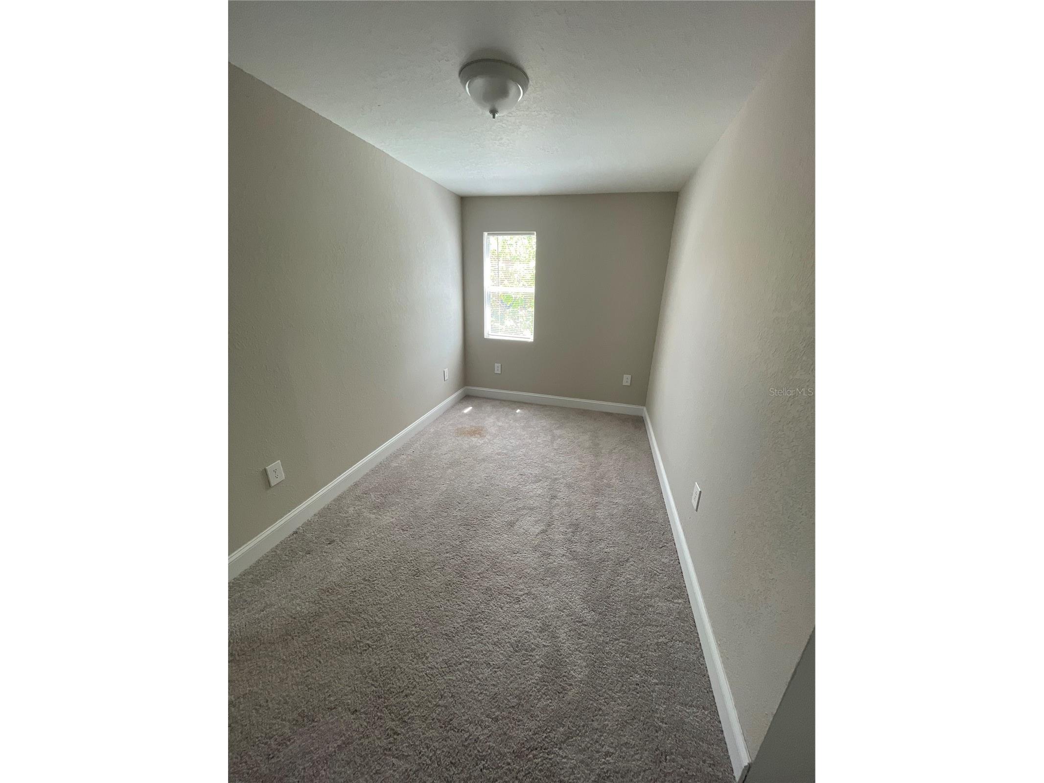 1109 Blanche B Littlejohn Trail Clearwater FL 33755 TB8498496 image12
