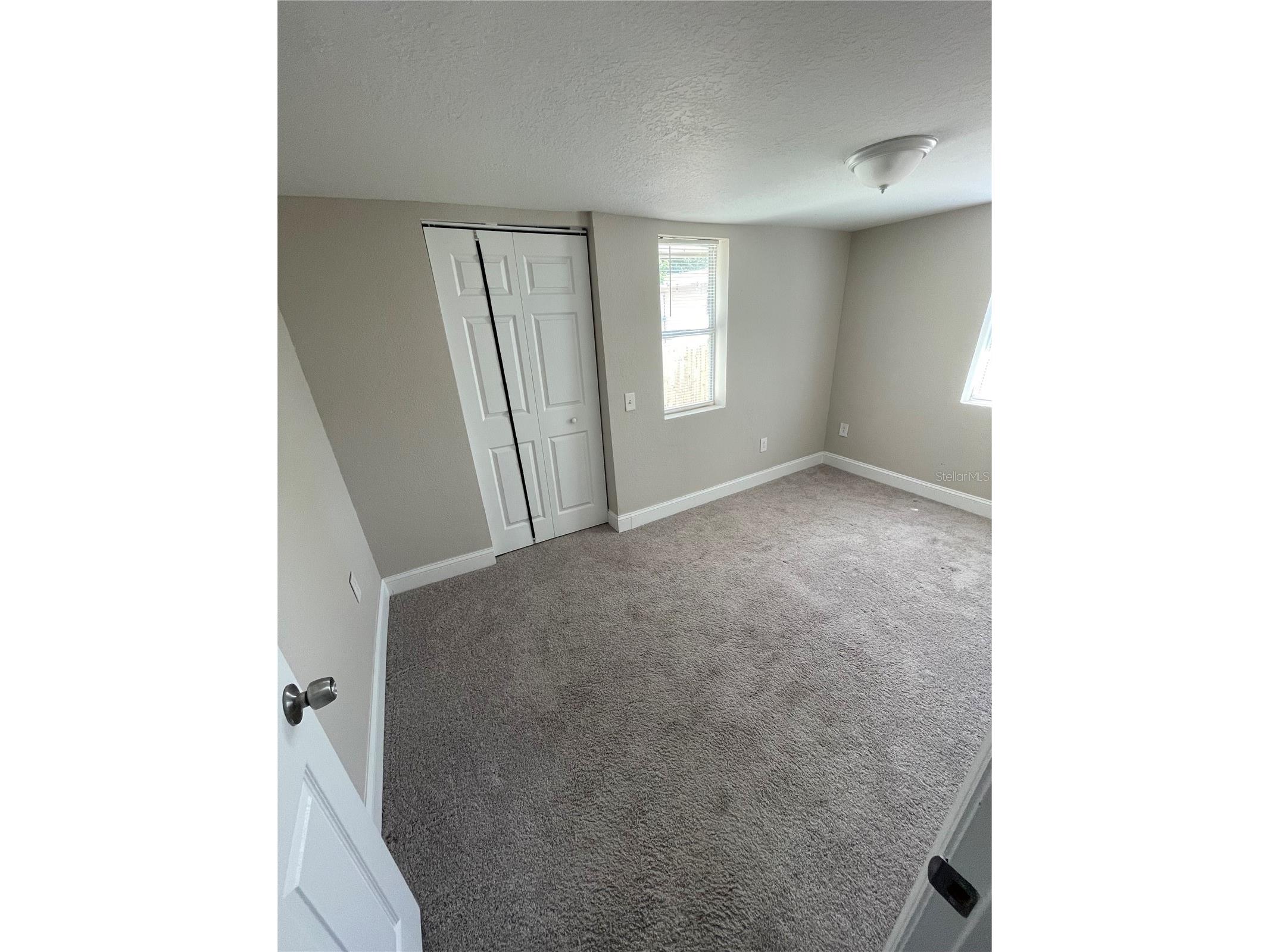 1109 Blanche B Littlejohn Trail Clearwater FL 33755 TB8498496 image13