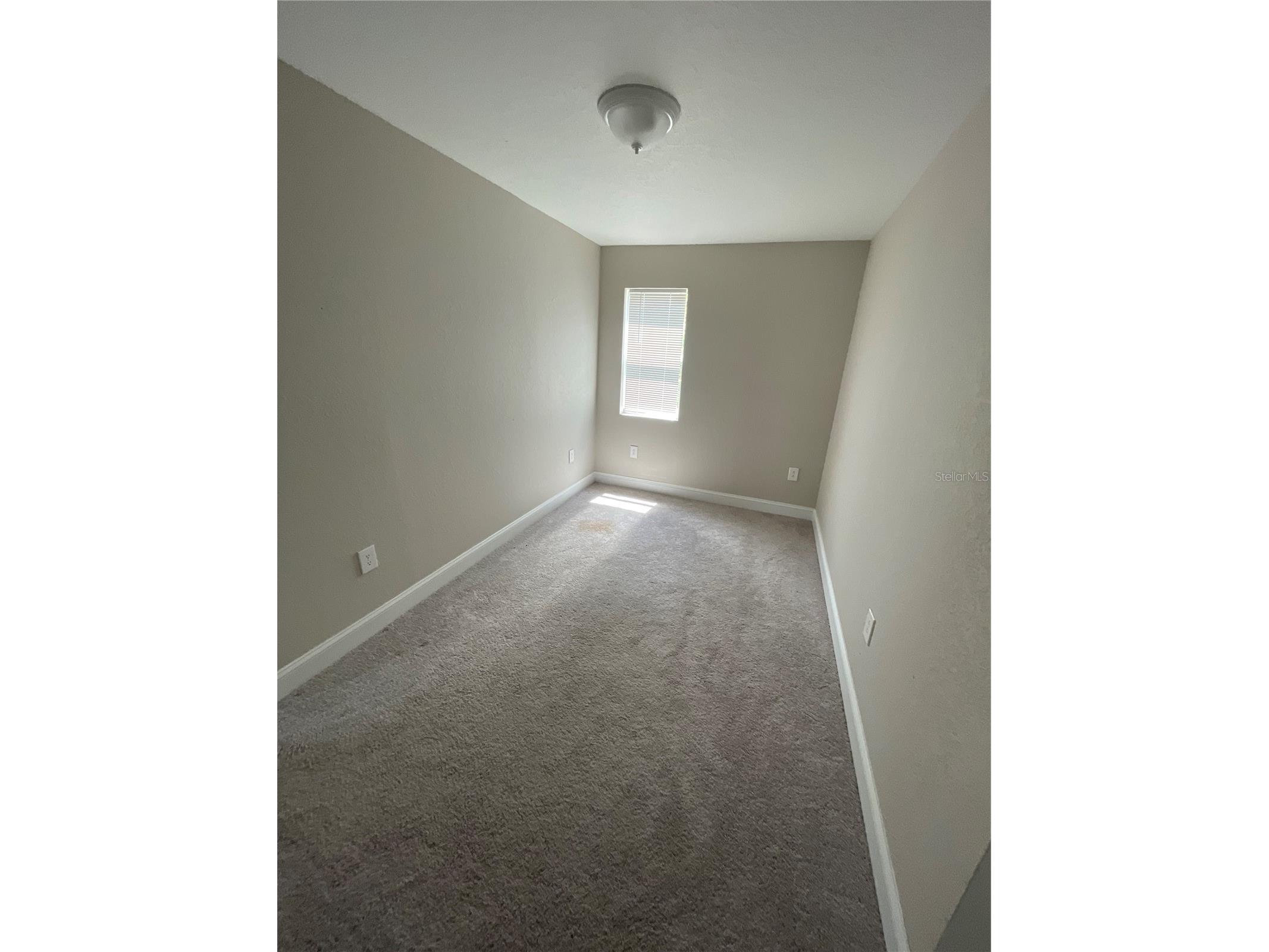 1109 Blanche B Littlejohn Trail Clearwater FL 33755 TB8498496 image15