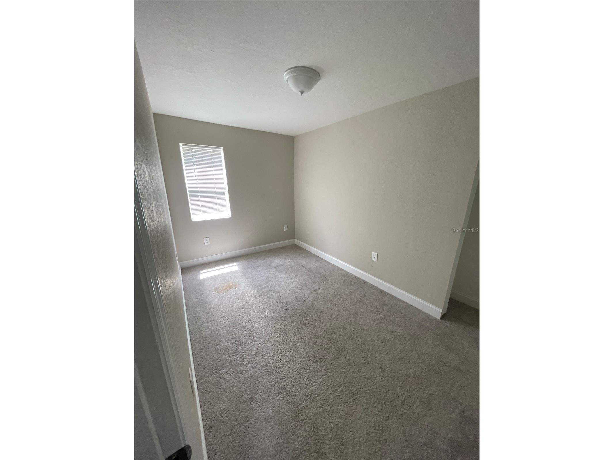 1109 Blanche B Littlejohn Trail Clearwater FL 33755 TB8498496 image17