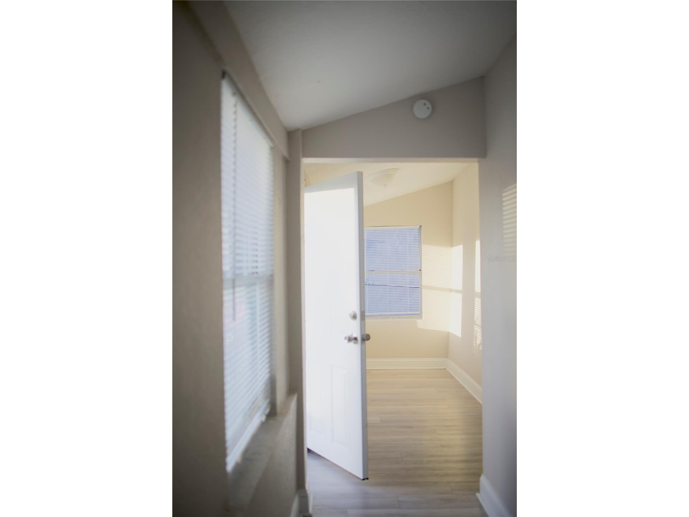 1109 Blanche B Littlejohn Trail Clearwater FL 33755 TB8498496 image5