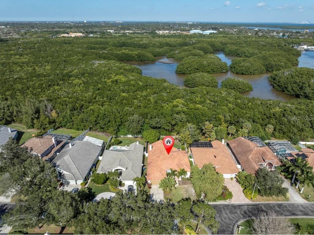 1109 Darlington Oak Drive NE Saint Petersburg FL 33703 U8228721 image1