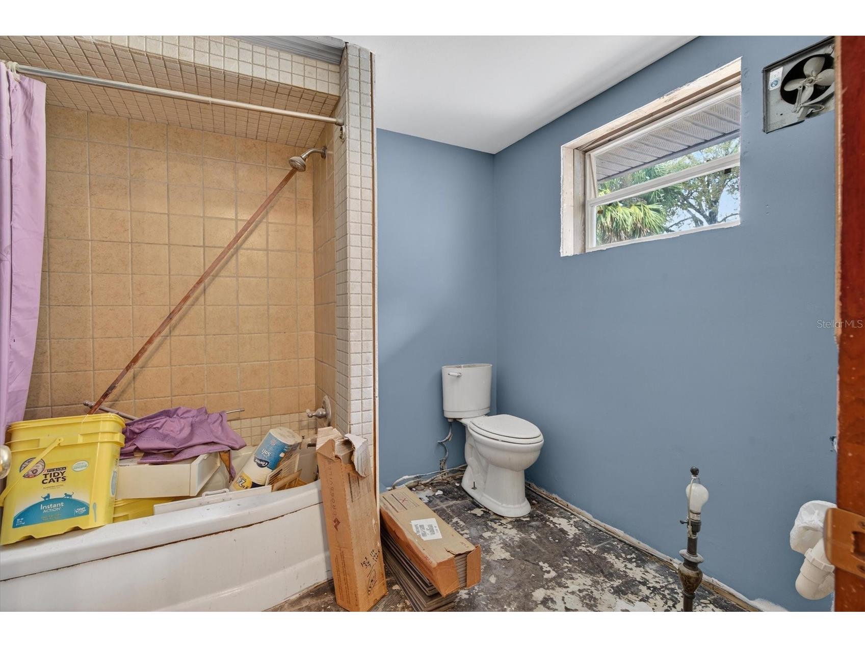 1109 E 8th Avenue Mount Dora FL 32757 O6388940 image24