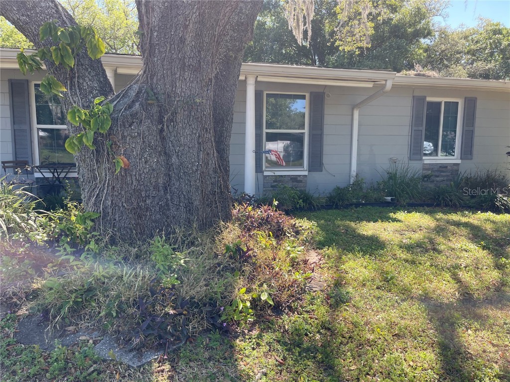 1109 E Camellia Drive Brandon FL 33510 A4606451 image1