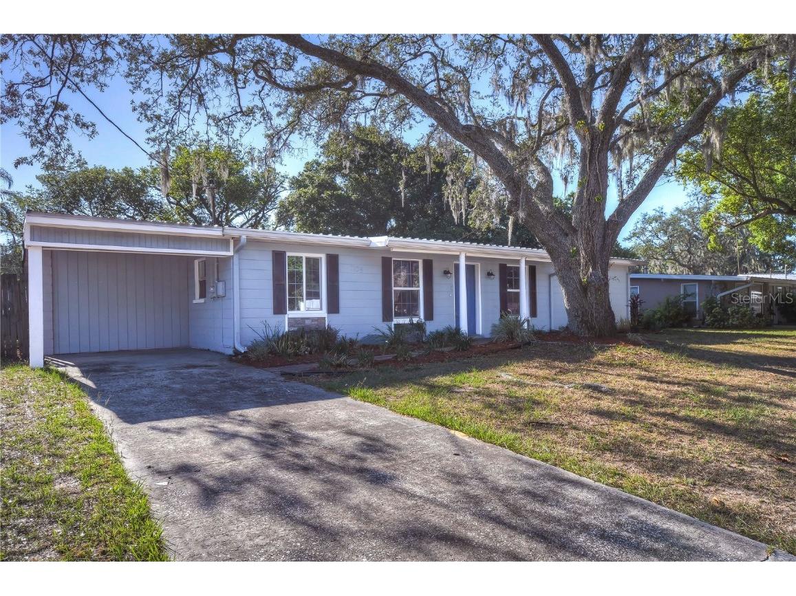 1109 E Camellia Drive Brandon FL 33510 T3528968 image1