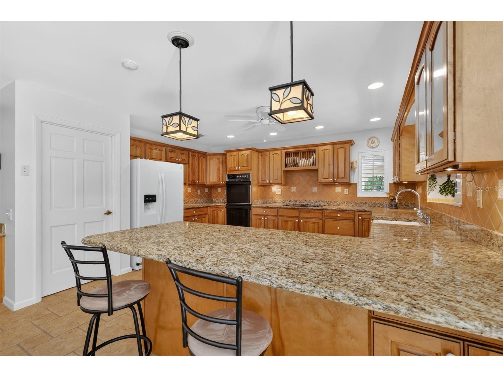 1109 Elysium Boulevard Mount Dora FL 32757 G5111259 image16