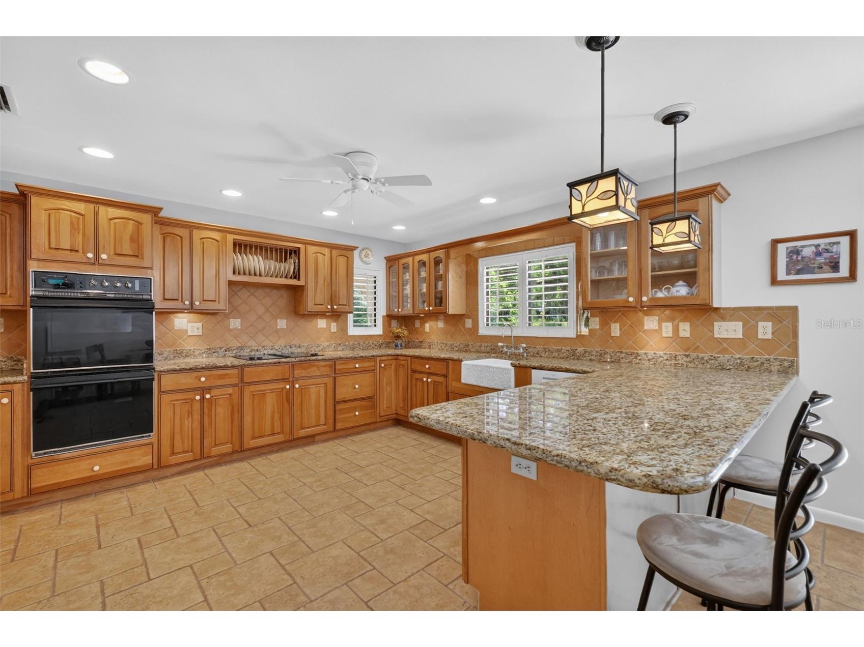 1109 Elysium Boulevard Mount Dora FL 32757 G5111259 image17