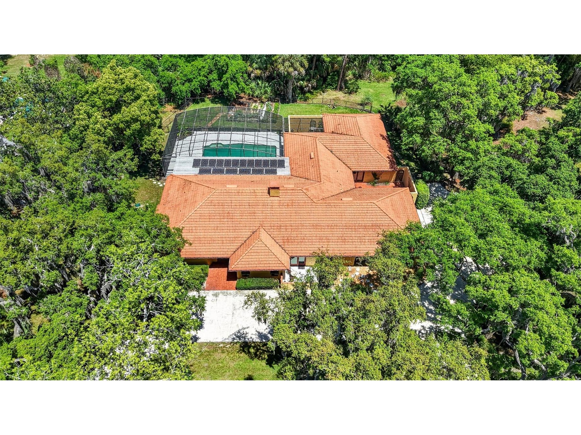 1109 Elysium Boulevard Mount Dora FL 32757 G5111259 image3