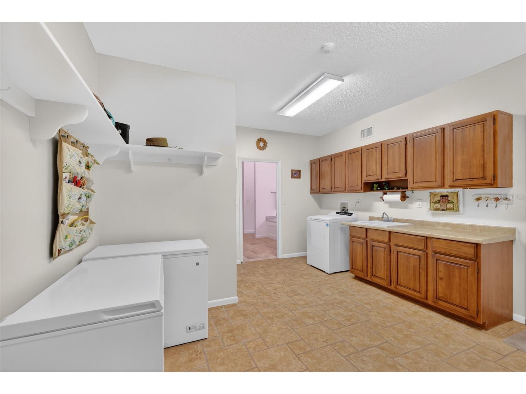 1109 Elysium Boulevard Mount Dora FL 32757 G5111259 image30