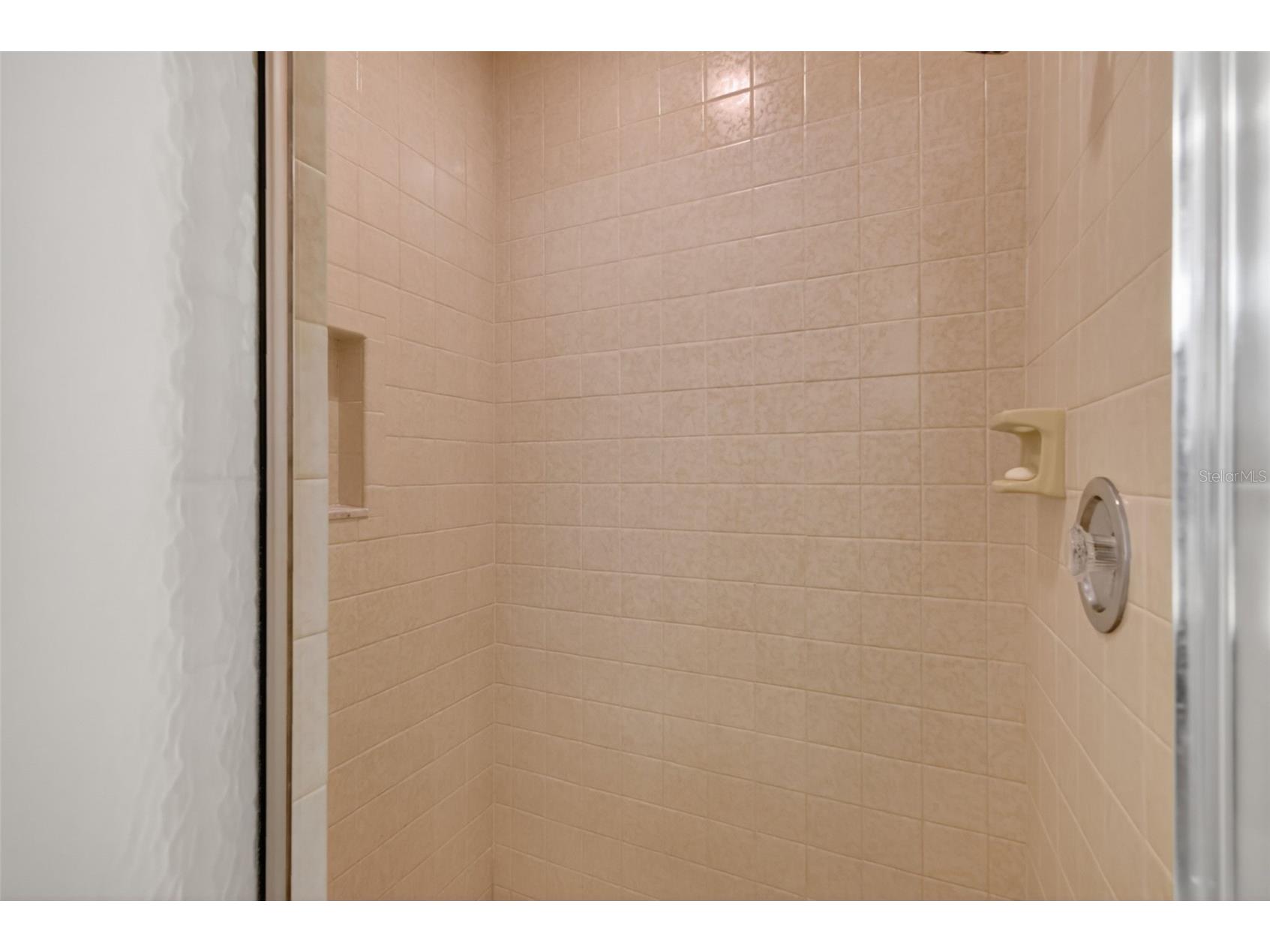 1109 Elysium Boulevard Mount Dora FL 32757 G5111259 image37