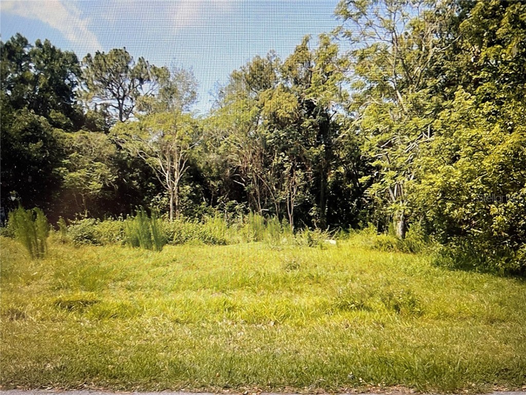 1109 Gator Lane Winter Springs FL 32708 P4933844 image1