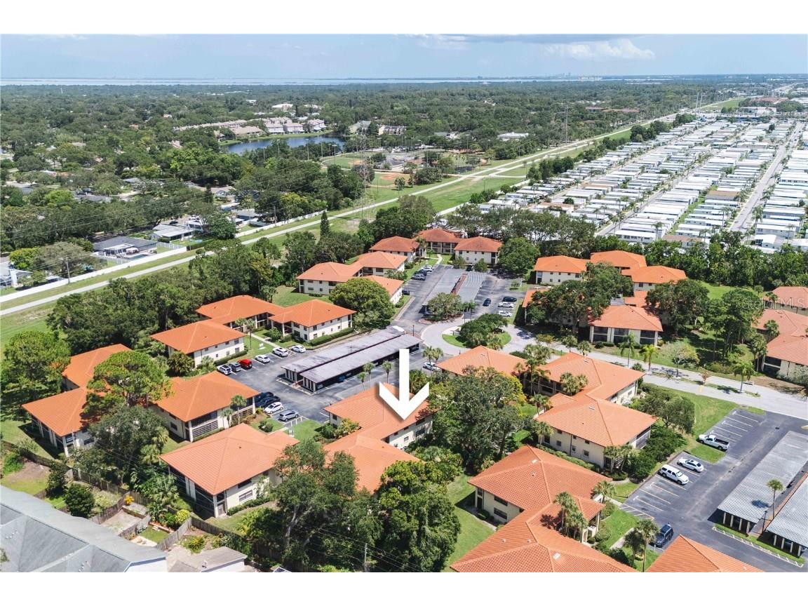 1109 Hammock Pine Boulevard Clearwater FL 33761 TB8407907 image12