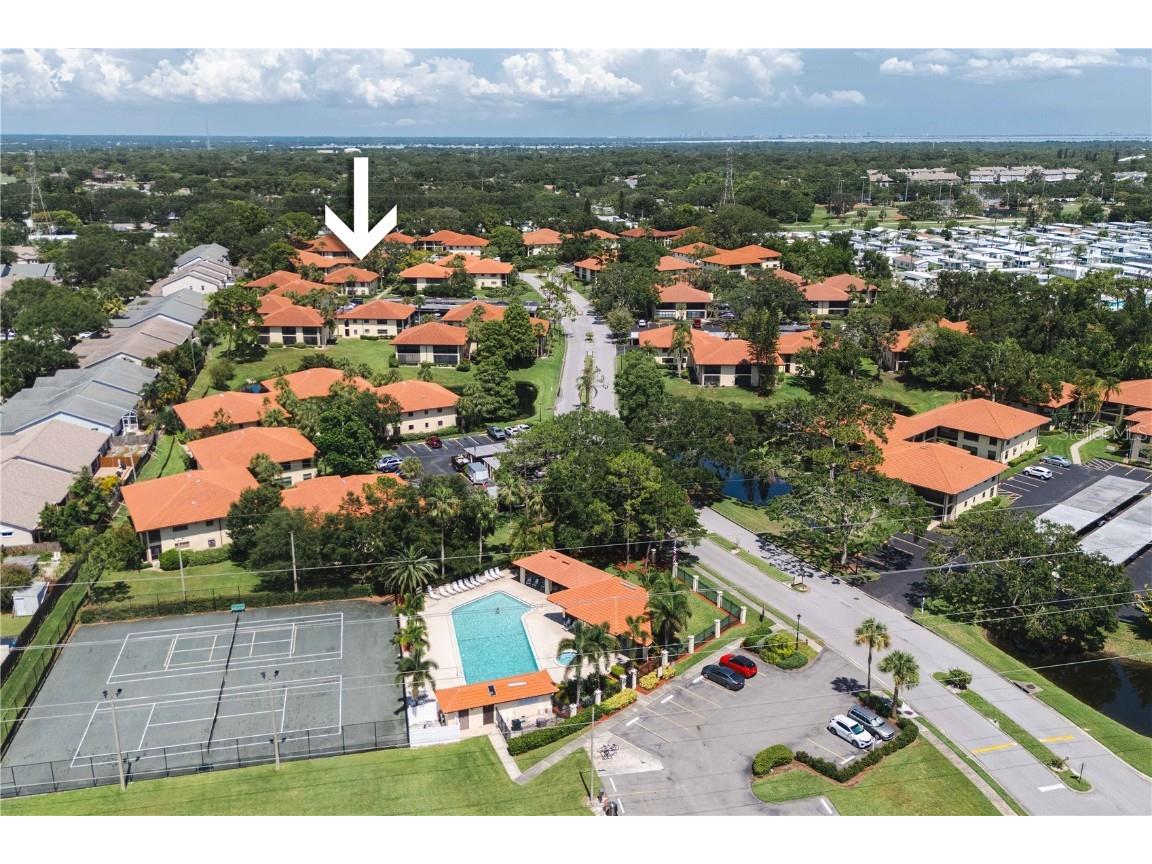 1109 Hammock Pine Boulevard Clearwater FL 33761 TB8407907 image14