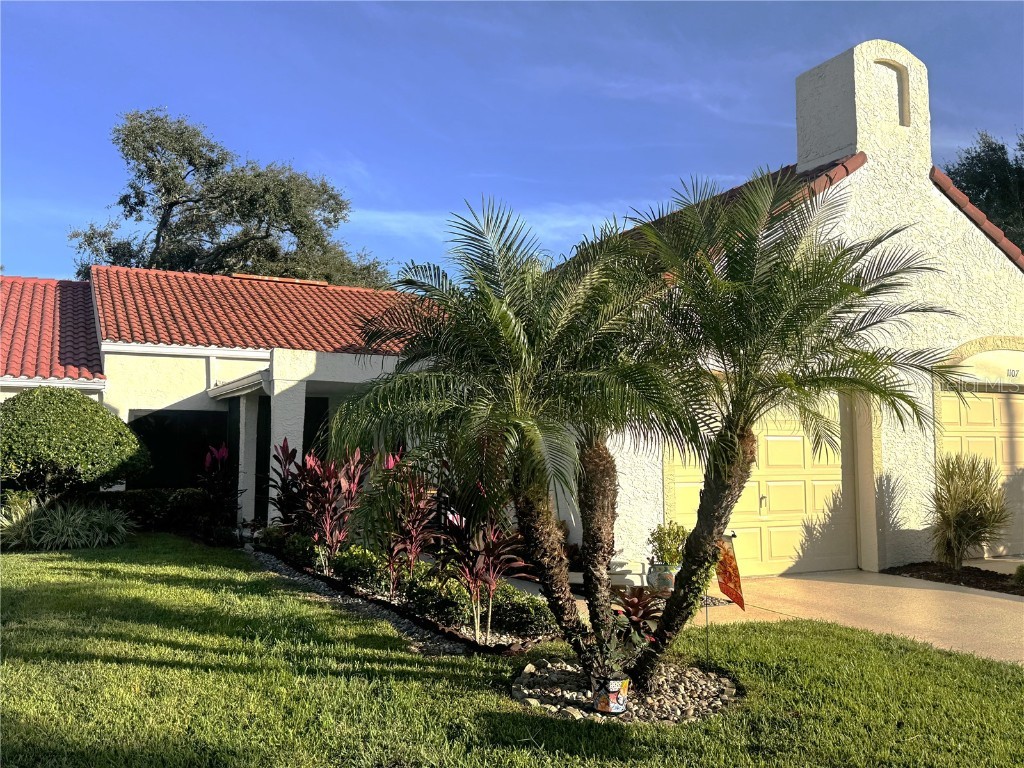 1109 Madeira Drive Palm Harbor FL 34684 - LAKE TARPON TB8447125 image1