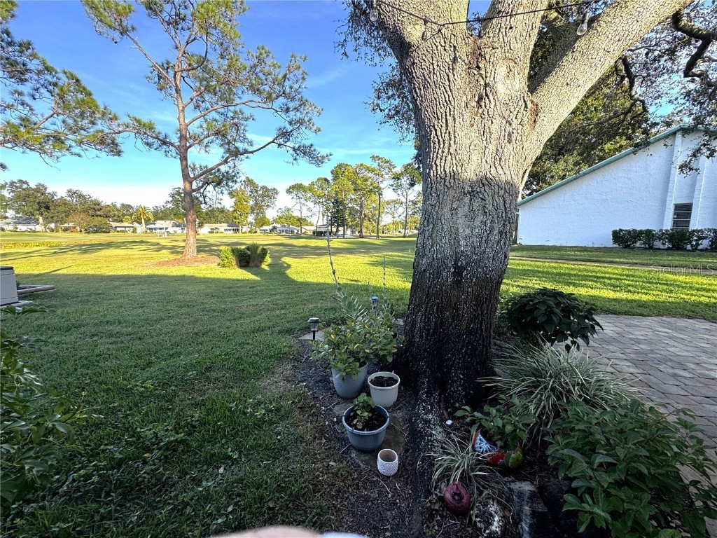 1109 Madeira Drive Palm Harbor FL 34684 - LAKE TARPON TB8447125 image19