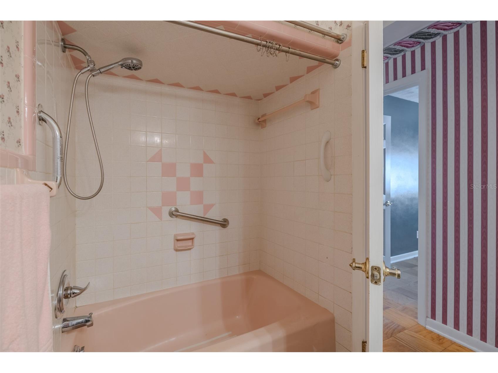 1109 Orangewalk Drive Brandon FL 33511 TB8476905 image21
