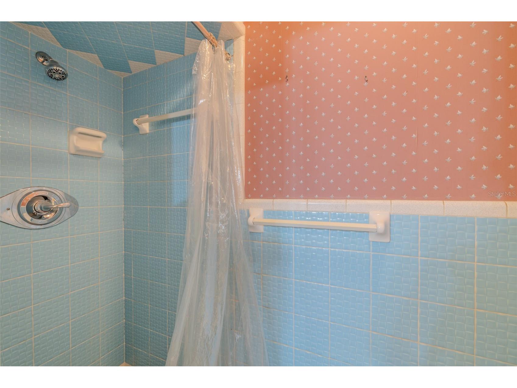 1109 Orangewalk Drive Brandon FL 33511 TB8476905 image22