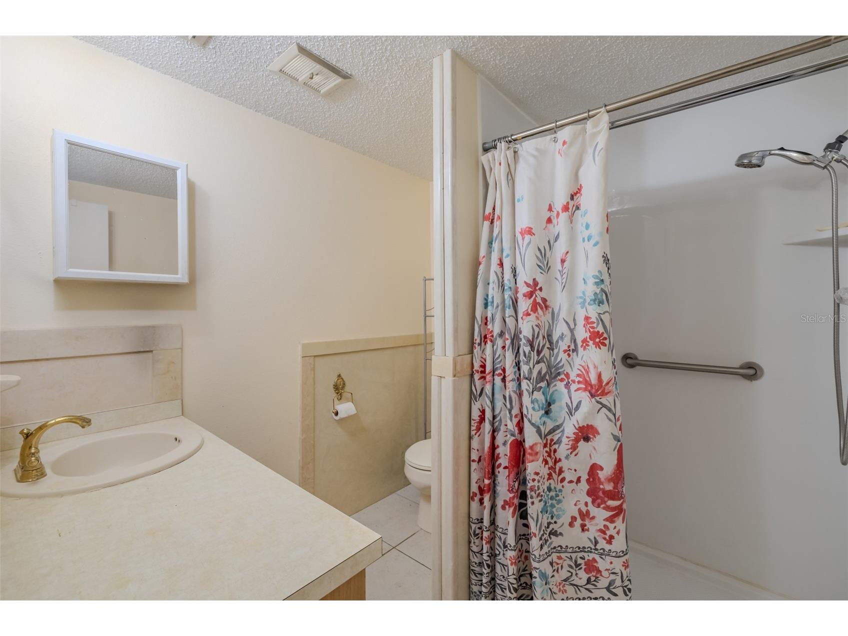 1109 Orangewalk Drive Brandon FL 33511 TB8476905 image45