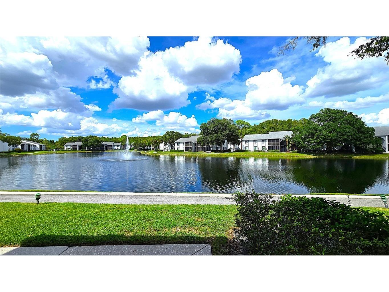 1109 Pine Ridge Circle W #C1 Tarpon Springs FL 34688 TB8424621 image1