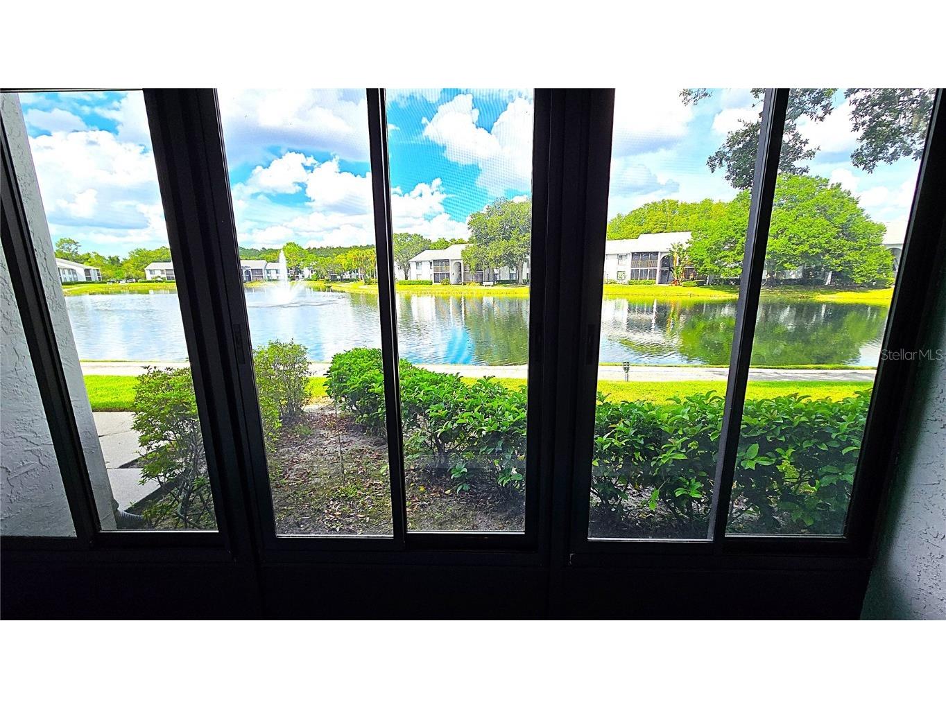 1109 Pine Ridge Circle W #C1 Tarpon Springs FL 34688 TB8424621 image11