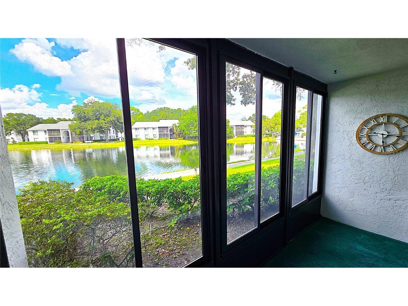 1109 Pine Ridge Circle W #C1 Tarpon Springs FL 34688 TB8424621 image13
