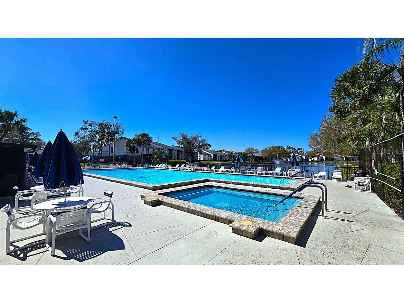 1109 Pine Ridge Circle W #C1 Tarpon Springs FL 34688 TB8424621 image2