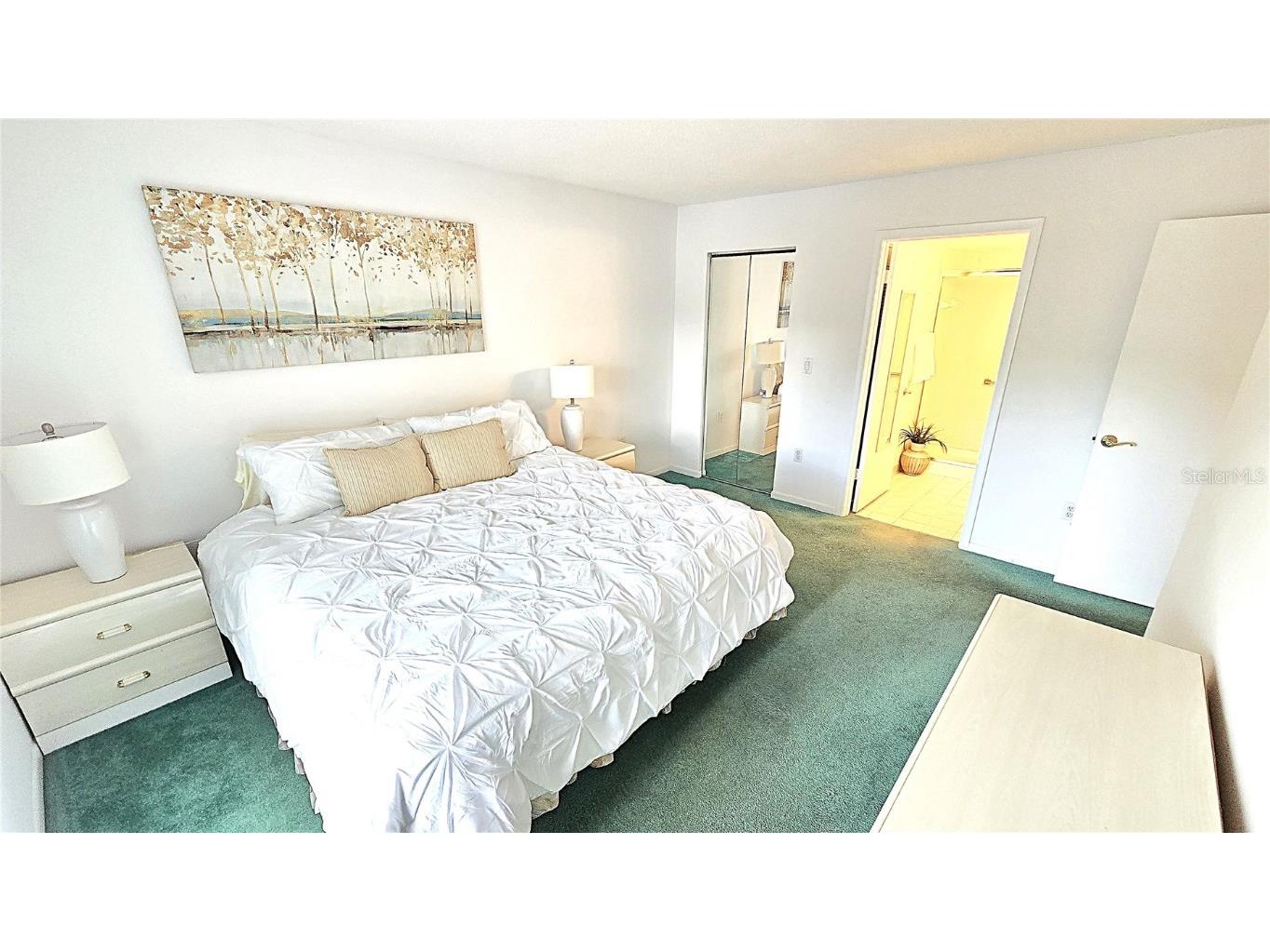 1109 Pine Ridge Circle W #C1 Tarpon Springs FL 34688 TB8424621 image26