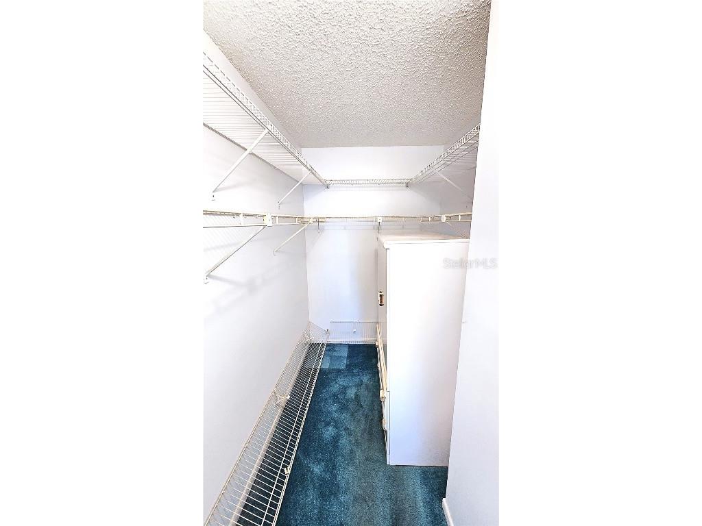 1109 Pine Ridge Circle W #C1 Tarpon Springs FL 34688 TB8424621 image27