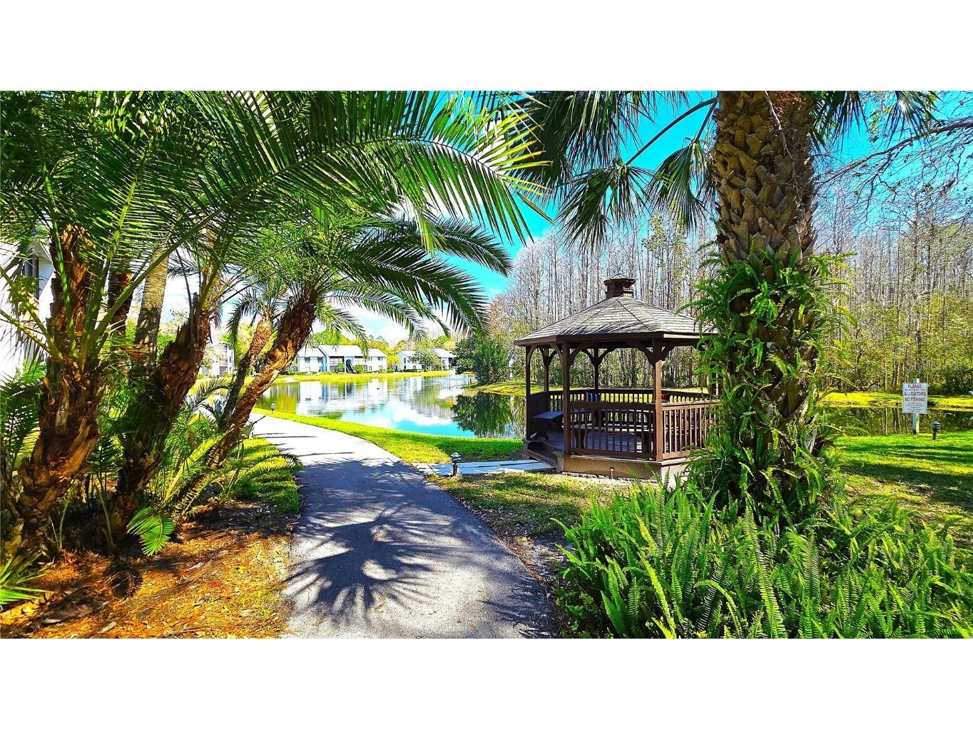 1109 Pine Ridge Circle W #C1 Tarpon Springs FL 34688 TB8424621 image3