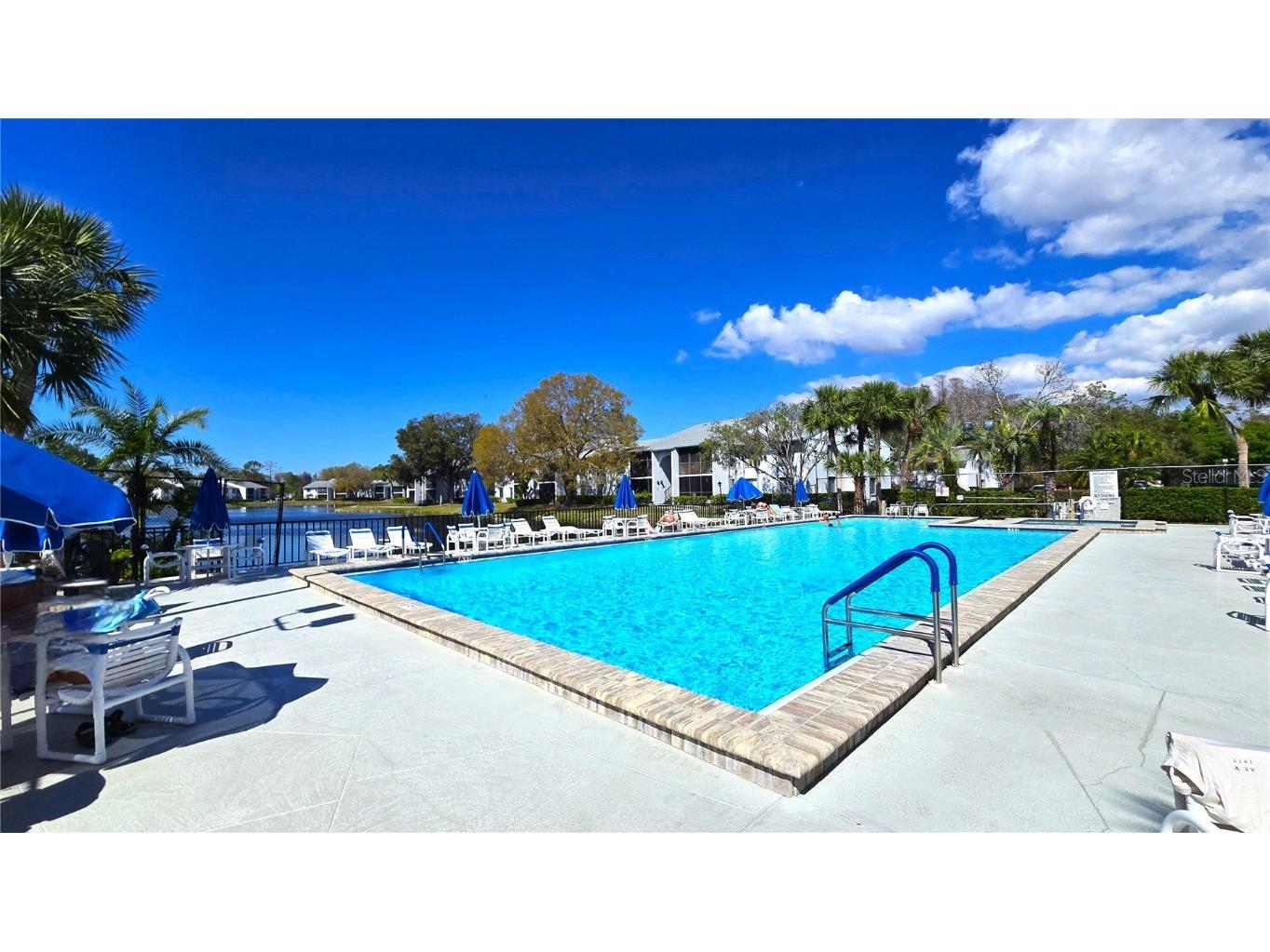 1109 Pine Ridge Circle W #C1 Tarpon Springs FL 34688 TB8424621 image33