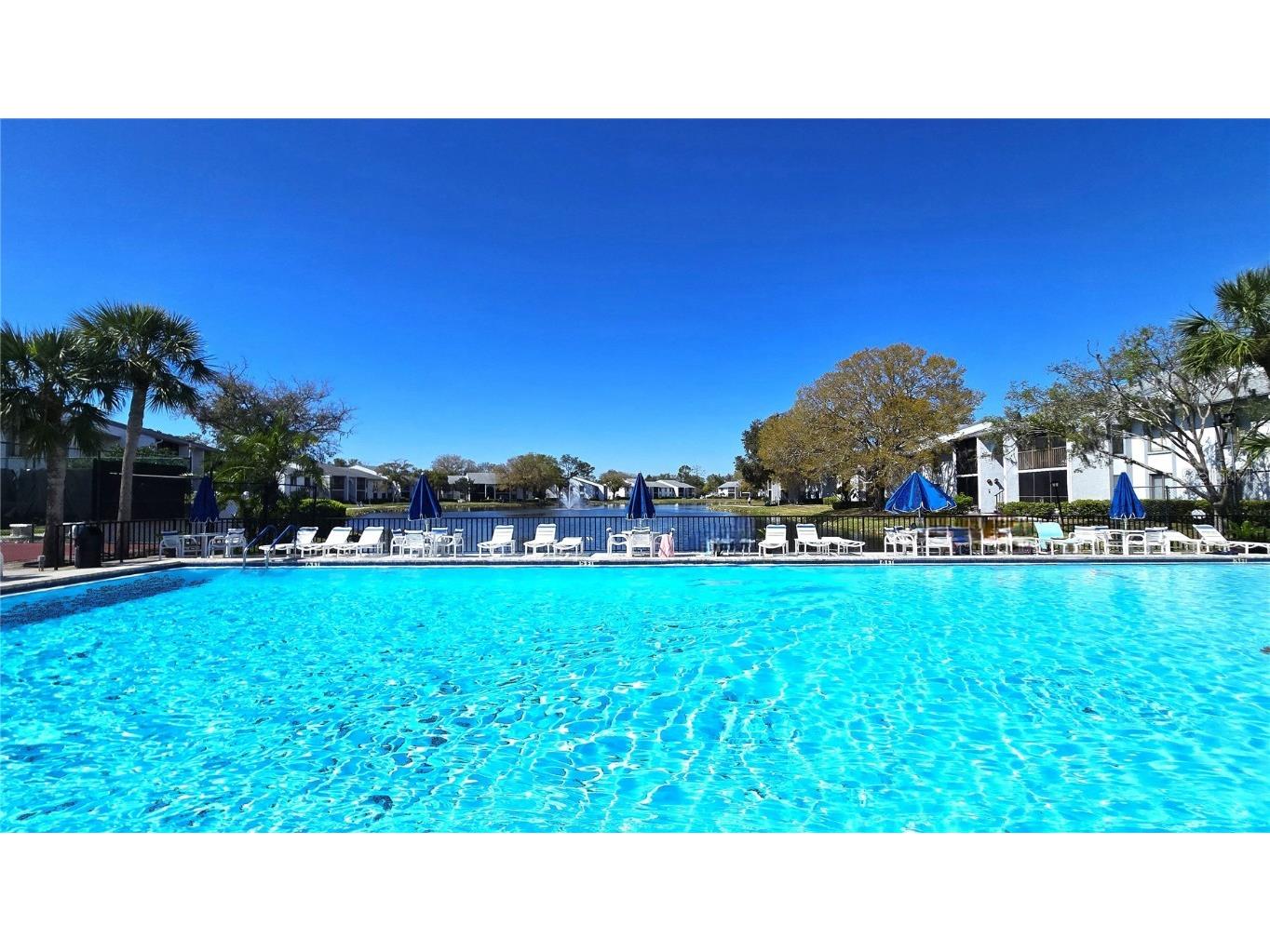 1109 Pine Ridge Circle W #C1 Tarpon Springs FL 34688 TB8424621 image35