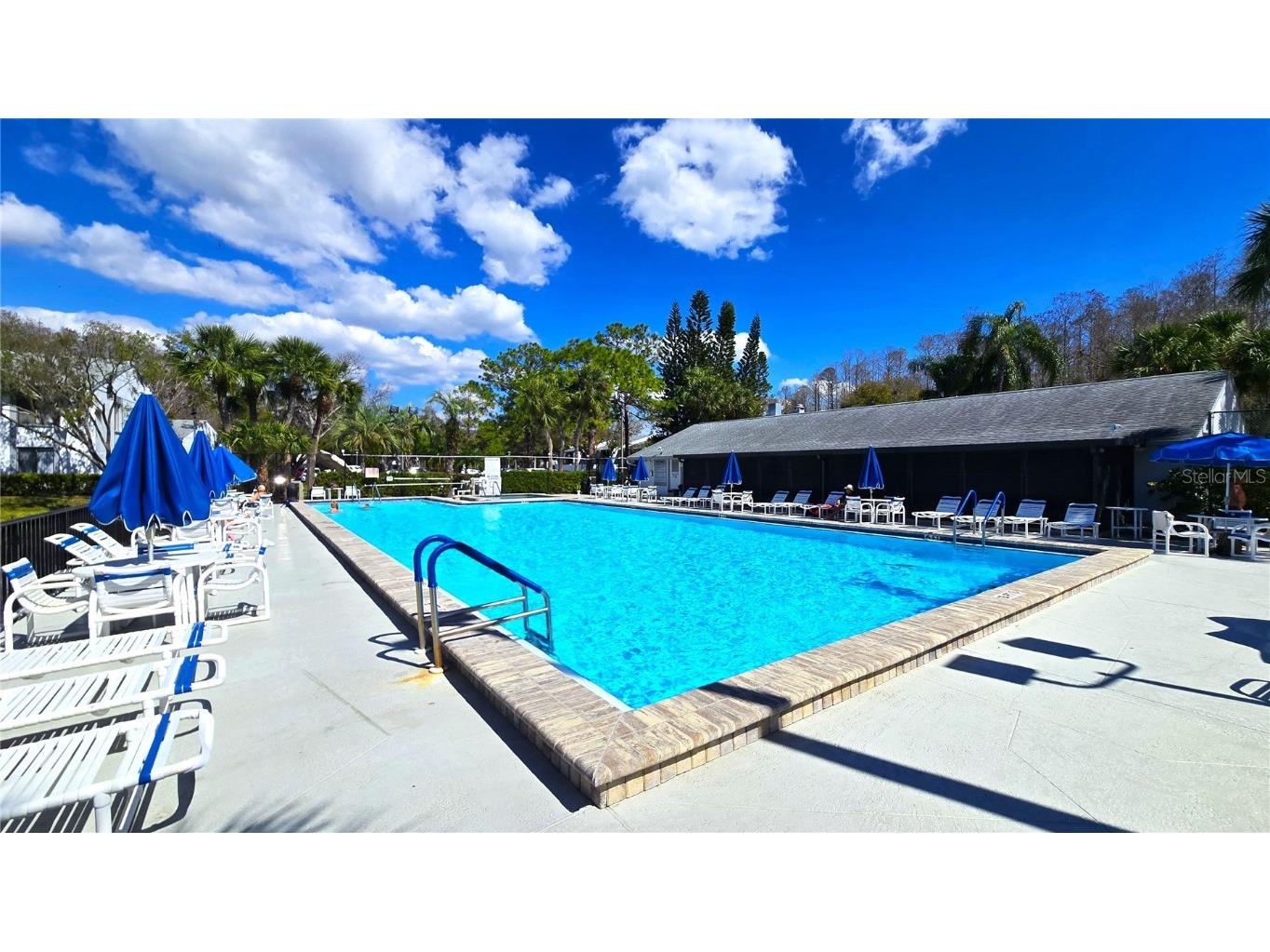 1109 Pine Ridge Circle W #C1 Tarpon Springs FL 34688 TB8424621 image36