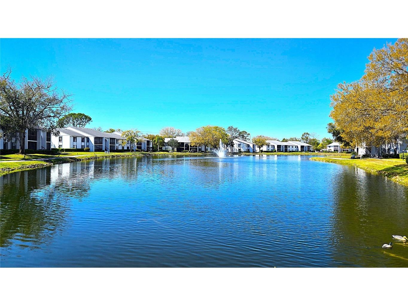 1109 Pine Ridge Circle W #C1 Tarpon Springs FL 34688 TB8424621 image37