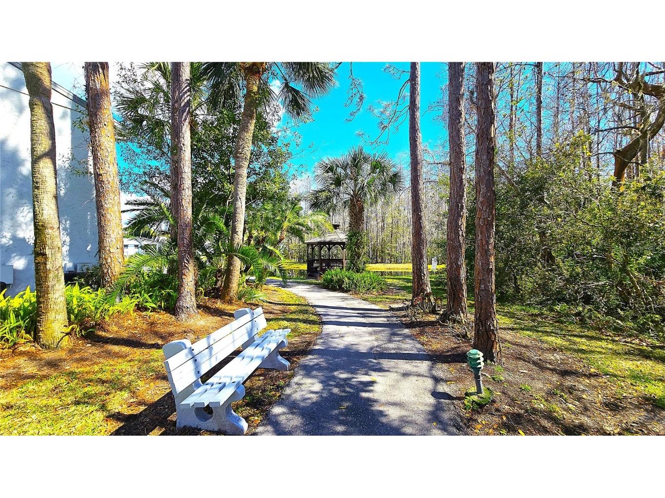 1109 Pine Ridge Circle W #C1 Tarpon Springs FL 34688 TB8424621 image38