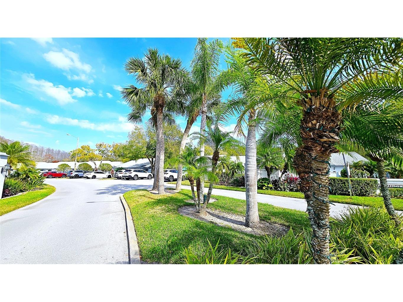 1109 Pine Ridge Circle W #C1 Tarpon Springs FL 34688 TB8424621 image49