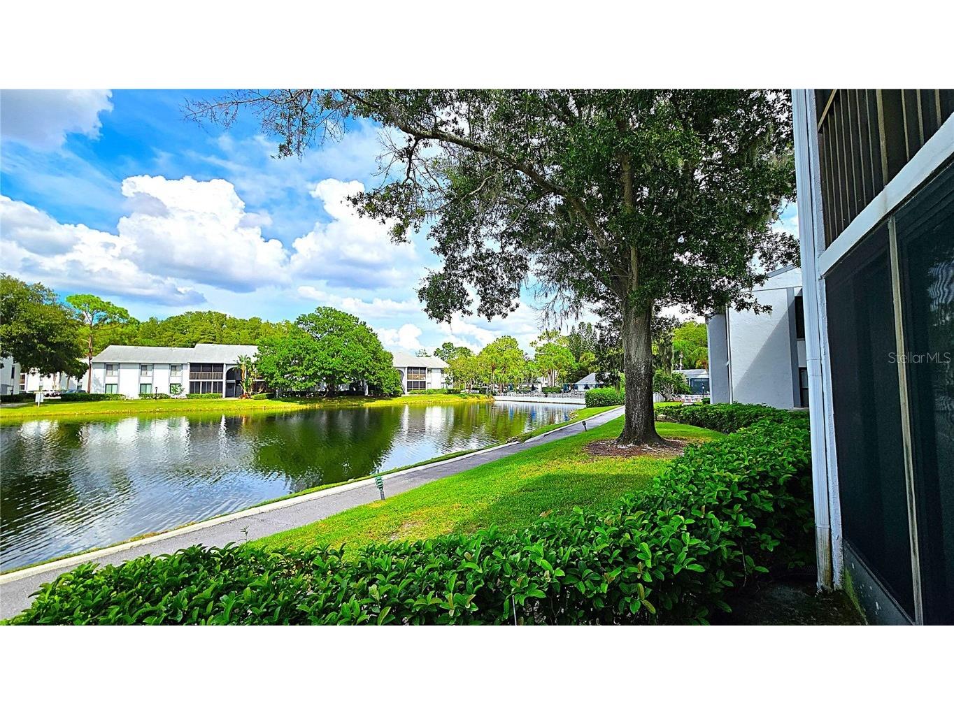 1109 Pine Ridge Circle W #C1 Tarpon Springs FL 34688 TB8424621 image5