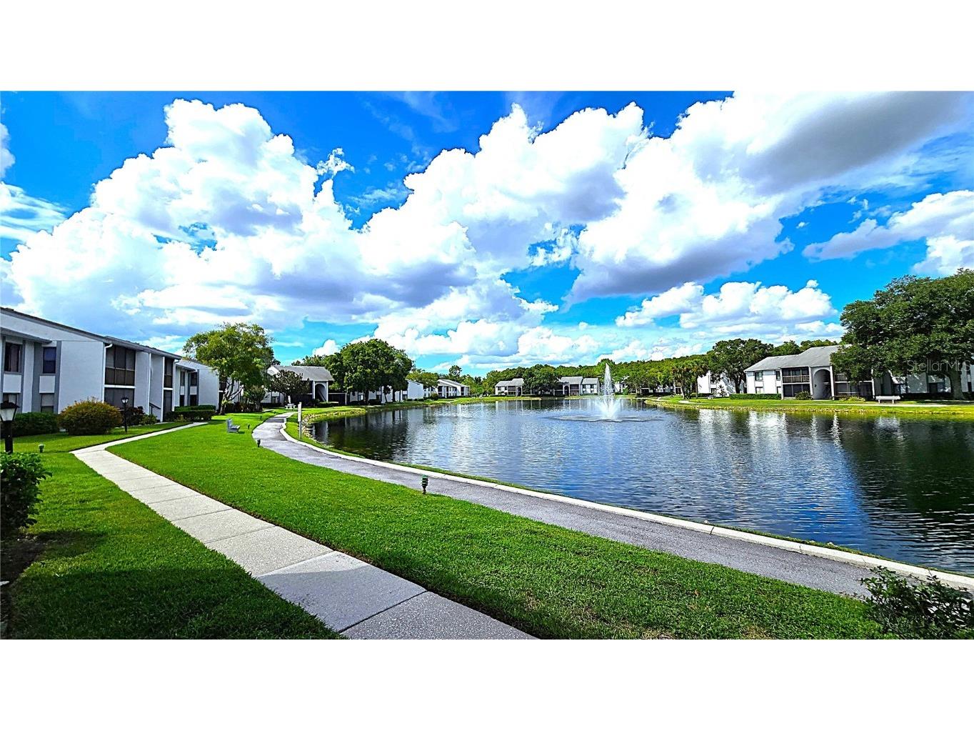 1109 Pine Ridge Circle W #C1 Tarpon Springs FL 34688 TB8424621 image6