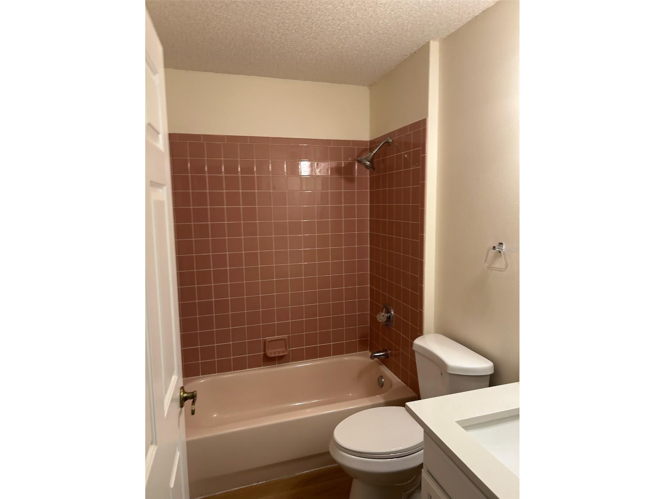 1109 Saldivar Road The Villages FL 32159 G5108156 image27