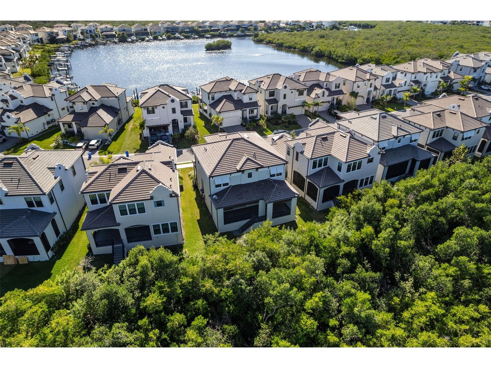 1109 Seagrape Drive Ruskin FL 33570 TB8455920 image72