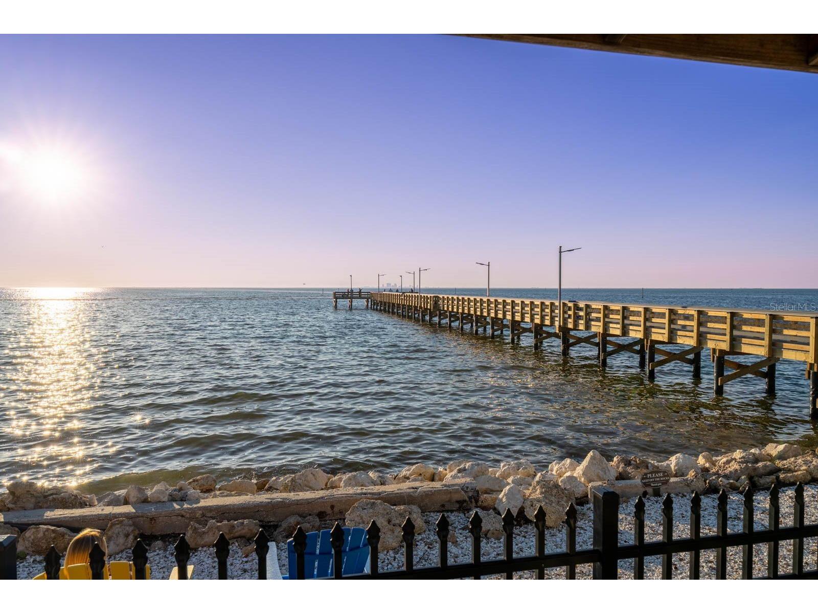 1109 Seagrape Drive Ruskin FL 33570 TB8455920 image98