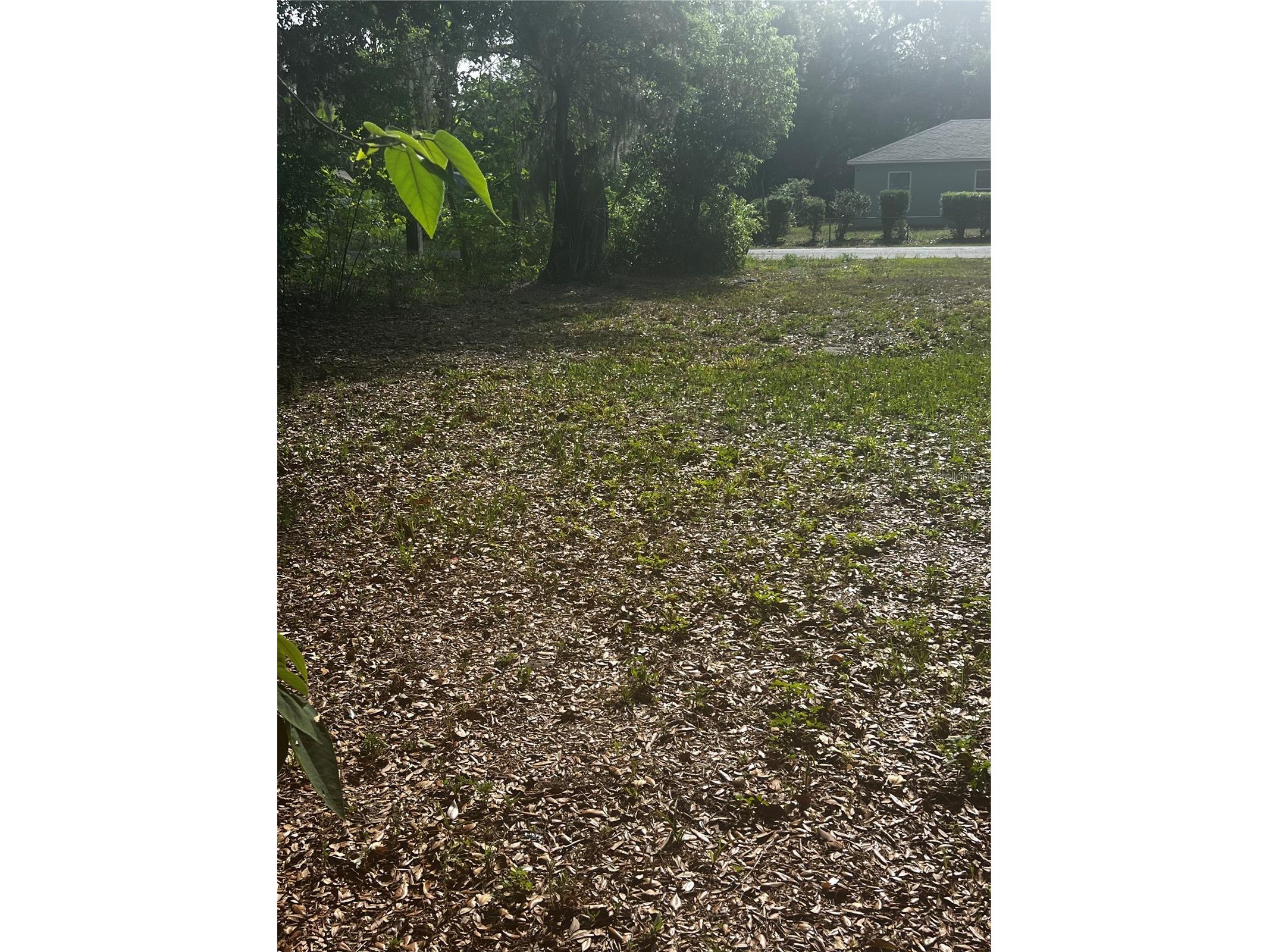 1109 Stinson Street Leesburg FL 34748 TB8502392 image4