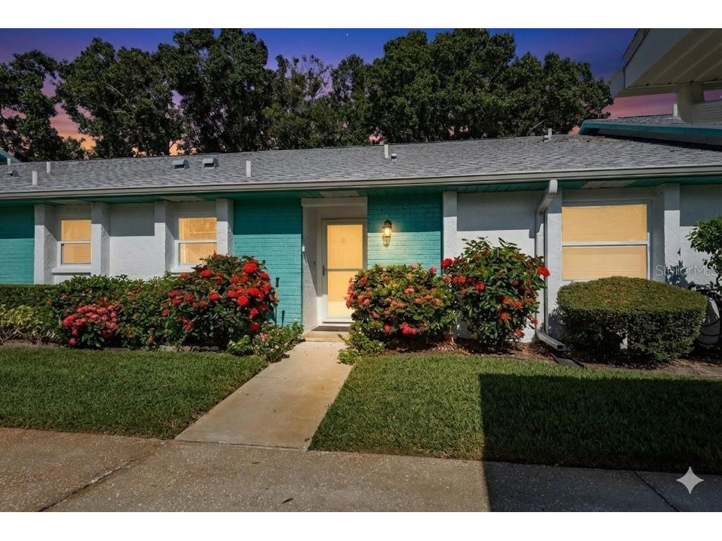 1109 Tartan Drive #C Palm Harbor FL 34684 - LAKE TARPON ACCESS TB8433661 image1