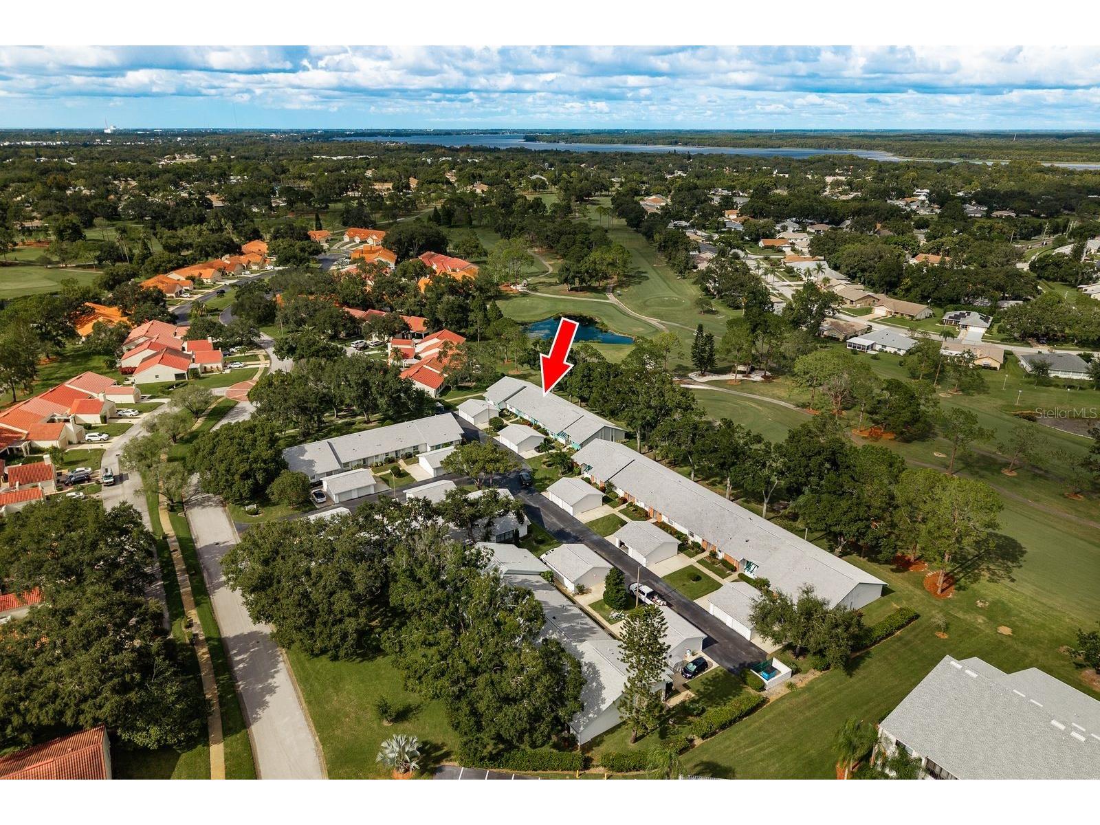 1109 Tartan Drive #C Palm Harbor FL 34684 - LAKE TARPON ACCESS TB8433661 image2