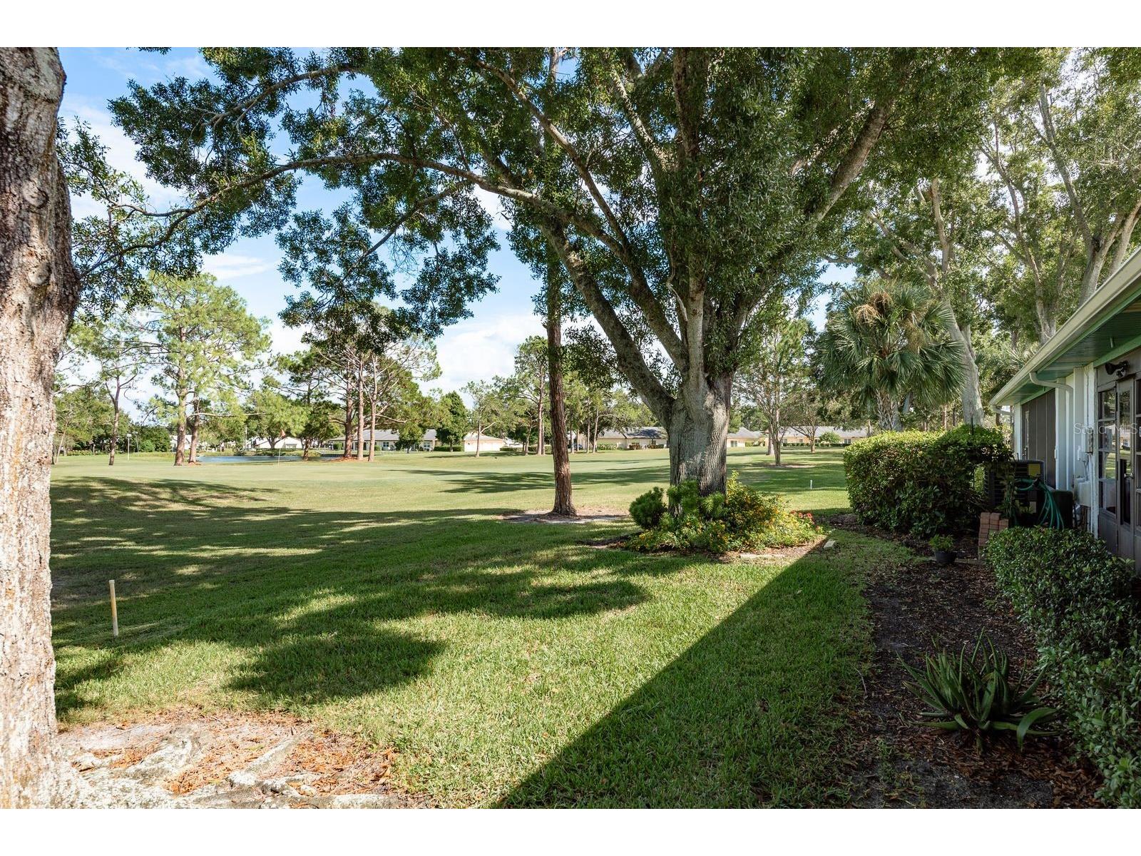 1109 Tartan Drive #C Palm Harbor FL 34684 - LAKE TARPON ACCESS TB8433661 image36