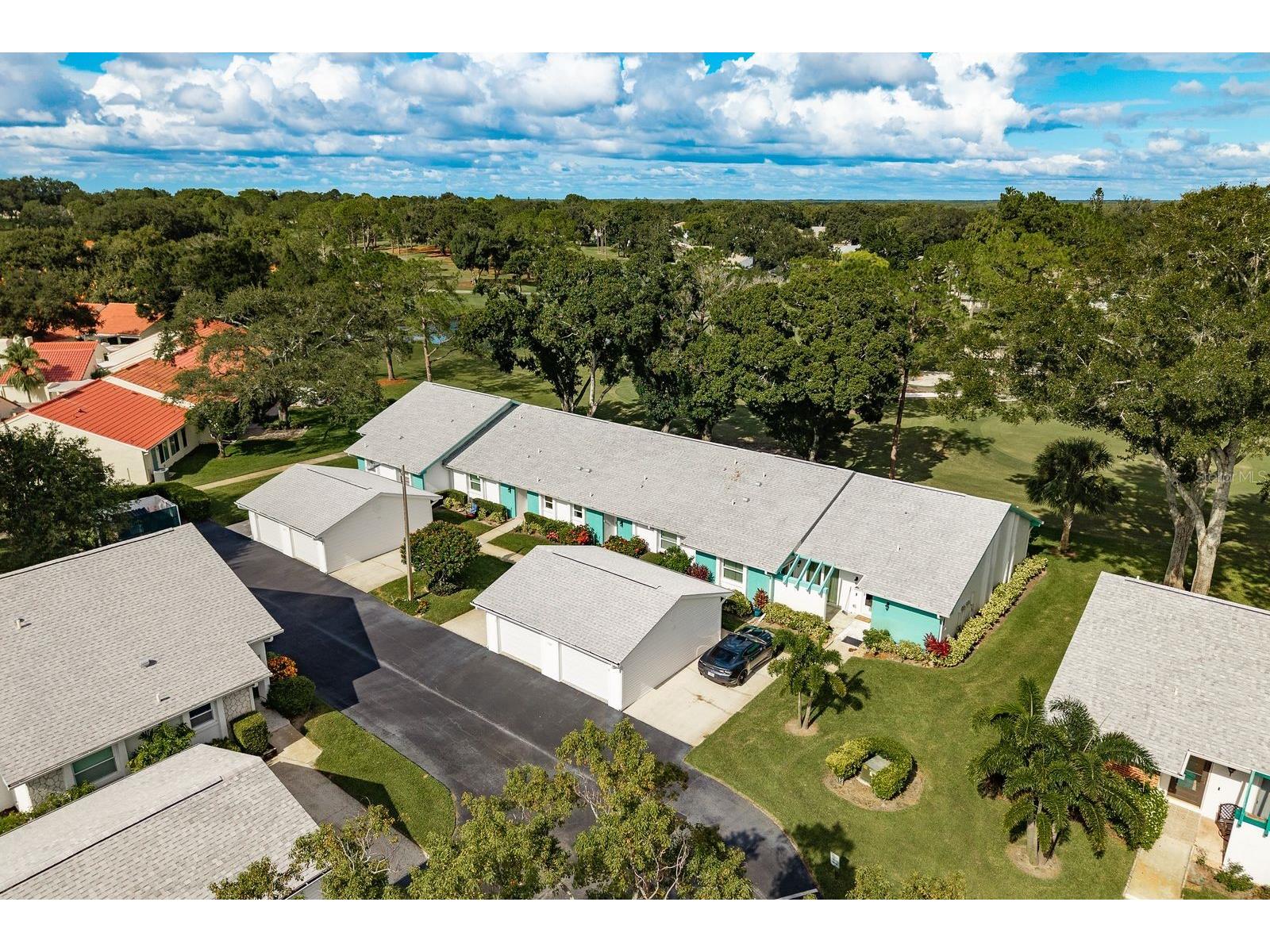 1109 Tartan Drive #C Palm Harbor FL 34684 - LAKE TARPON ACCESS TB8433661 image40